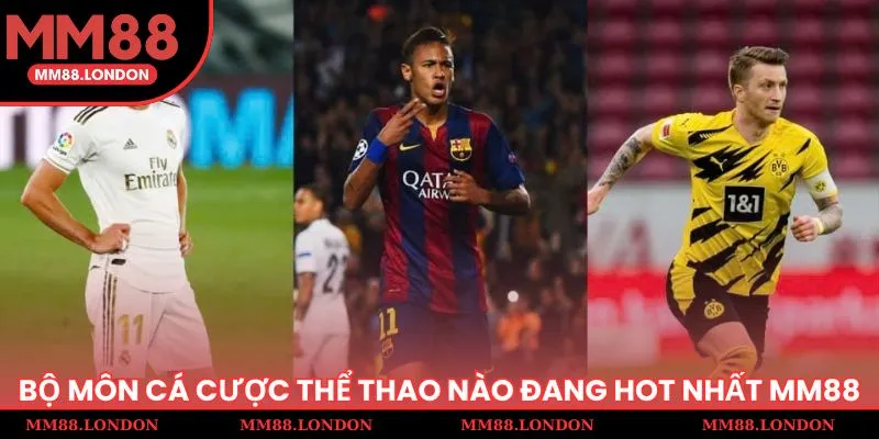 Bộ môn cá cược thể thao nào đang hot nhất MM88